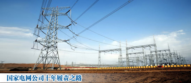 國家電網公司十年履責之路