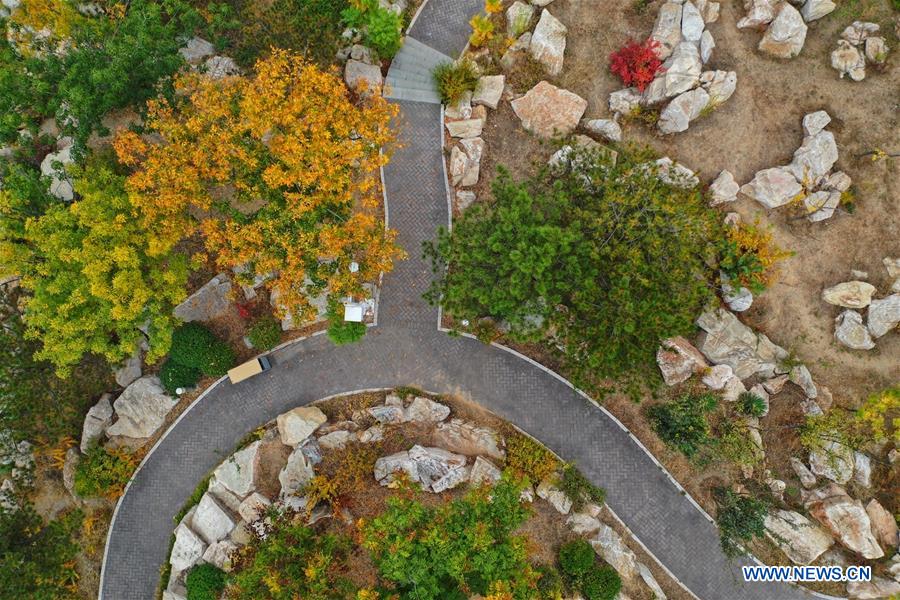 CHINA-HEBEI-TANGSHAN-NANHU PARK-AUTUMN SCENERY (CN)