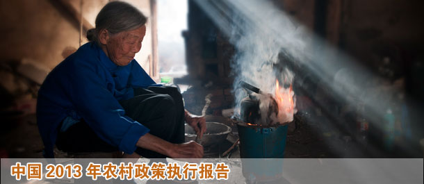 中國農村政策執行報告