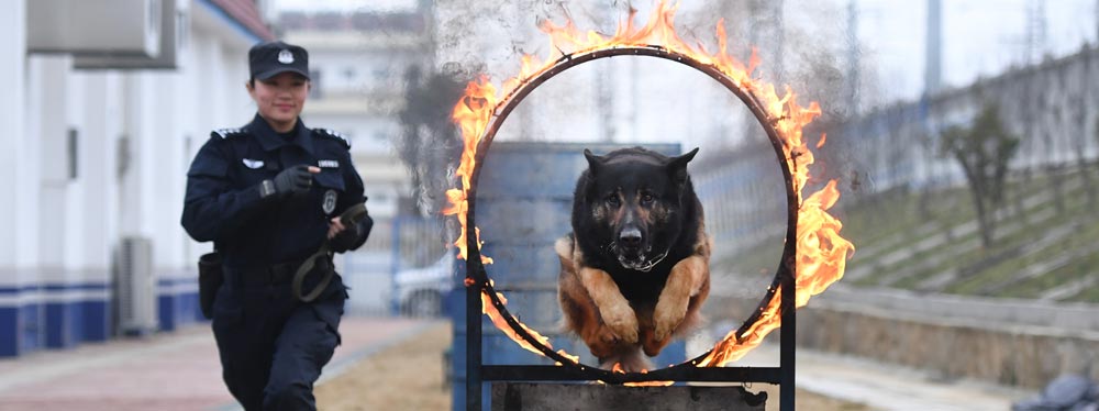 劉慧和&ldquo;威利&rdquo;