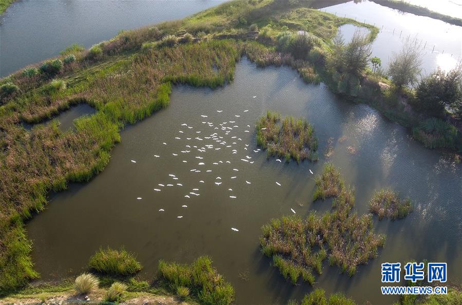 （圖文互動&middot;百城百縣百企調研行）（5）&ldquo;濕地海口&rdquo;的生態文明建設實踐