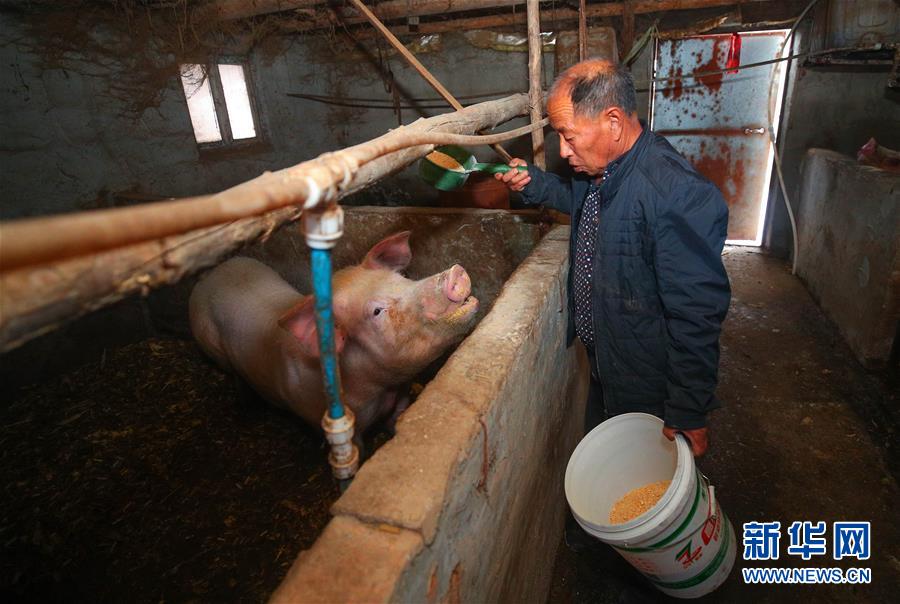 （新春走基層&middot;圖文互動(dòng)）（2）&ldquo;終于有人敢登門(mén)給兒子提親了&rdquo;&mdash;&mdash;張景富脫貧記