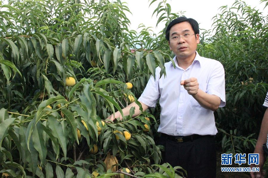 (圖文互動)(2)“為脫貧而來,為脫貧而去”——追記湖南炎陵縣委原書記黃詩燕