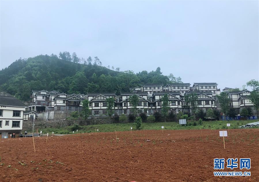 (決戰決勝脫貧攻堅·圖文互動)(2)一分菜園穩“心遷”