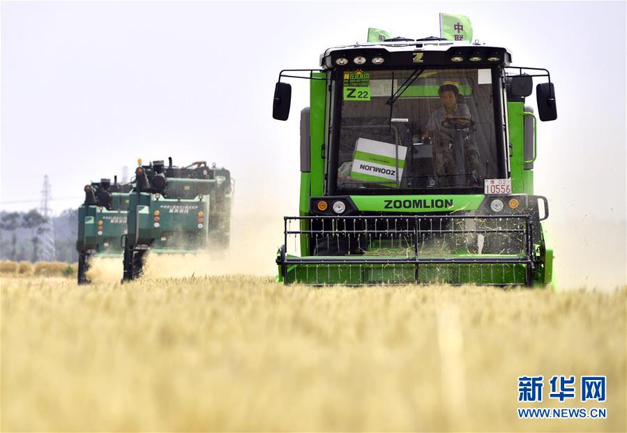 (在習(xí)近平新時(shí)代中國(guó)特色社會(huì)主義思想指引下——新時(shí)代新作為新篇章·習(xí)近平總書記關(guān)切事·圖文互動(dòng))(12)讓農(nóng)民挑上“金扁擔(dān)”——農(nóng)業(yè)現(xiàn)代化的生動(dòng)實(shí)踐掃描