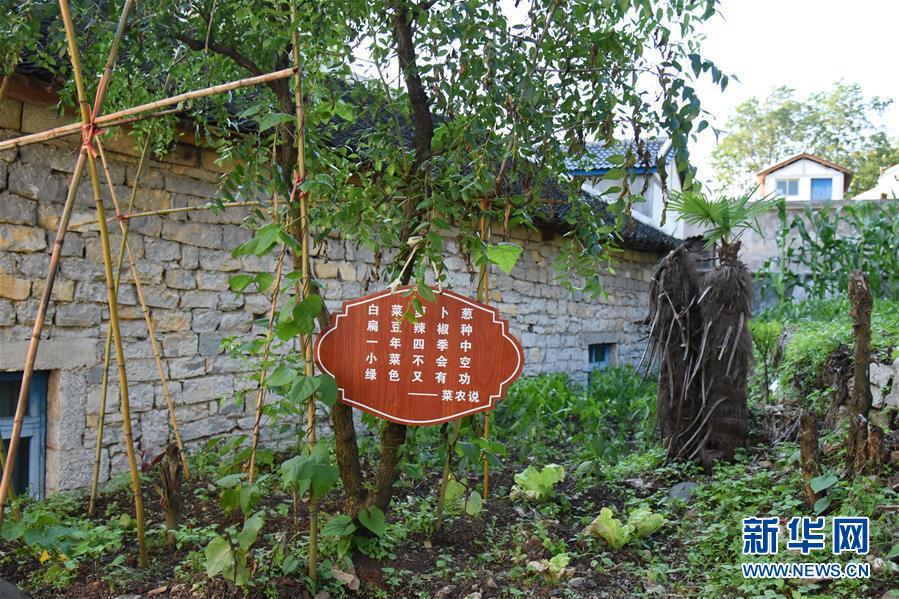 （鄉(xiāng)村振興&middot;圖文互動）（6）海壩成&ldquo;畫&rdquo;