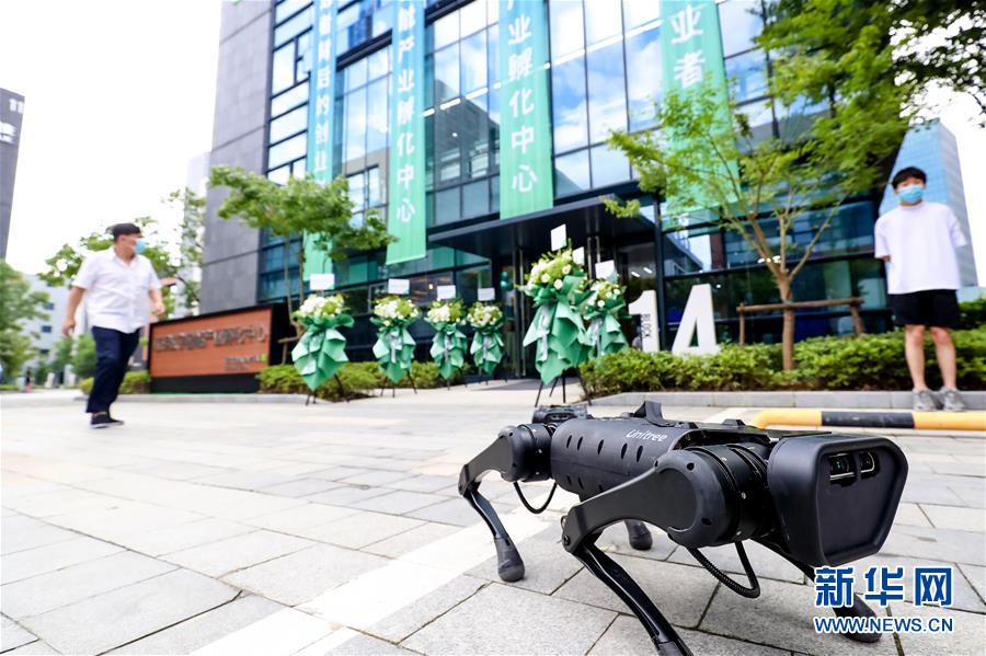 （新華全媒頭條&middot;圖文互動）（10）讓世界更有&ldquo;AI&rdquo;&mdash;&mdash;透視2020世界人工智能大會云端峰會