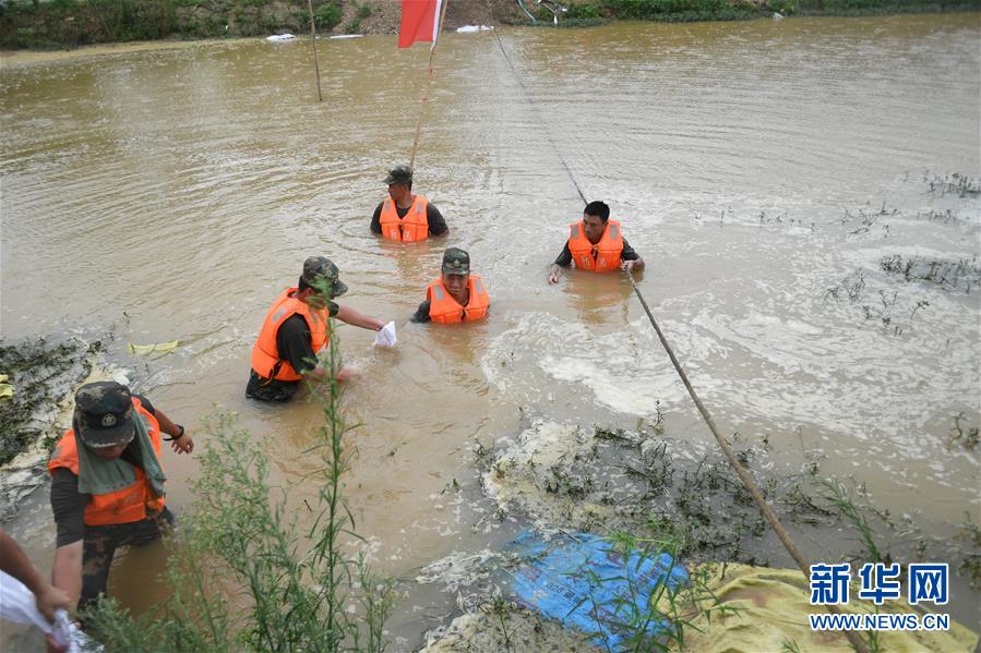 (防汛抗洪·圖文互動)(1)“大堤上有了‘導彈綠’,我們老百姓安了心”
