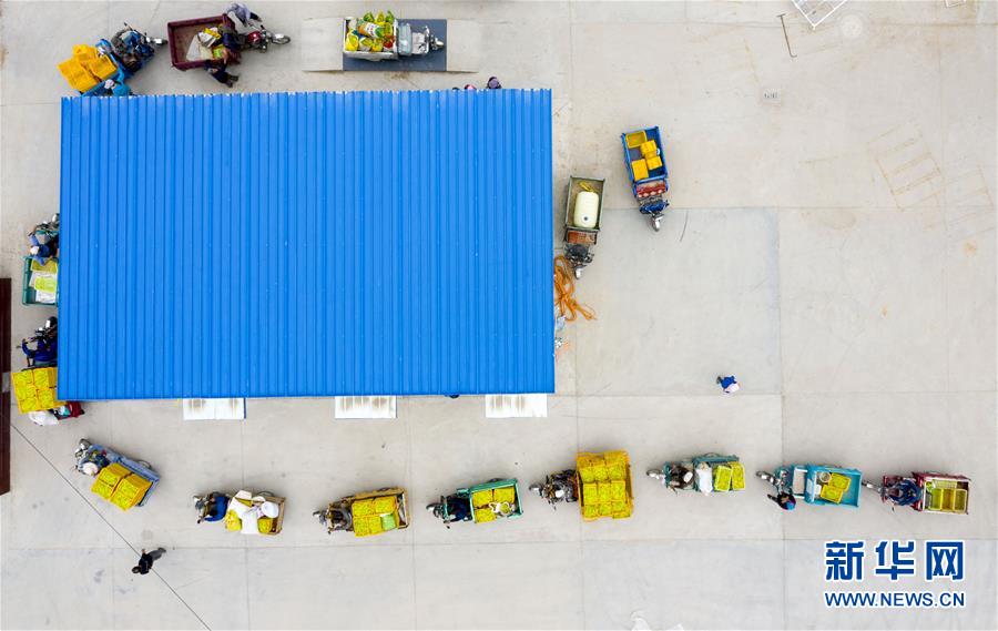 (新華全媒頭條·走向我們的小康生活·圖文互動)(10)23萬人的命運轉折——我國最大易地生態移民安置區的脫貧密碼