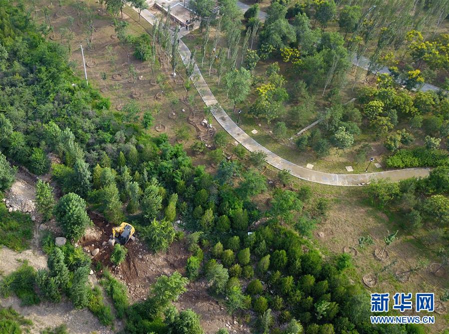 （新華全媒頭條&middot;圖文互動）（15）扎實推進籌辦，不負青春韶華&mdash;&mdash;北京冬奧會籌辦備戰克服疫情影響平穩推進