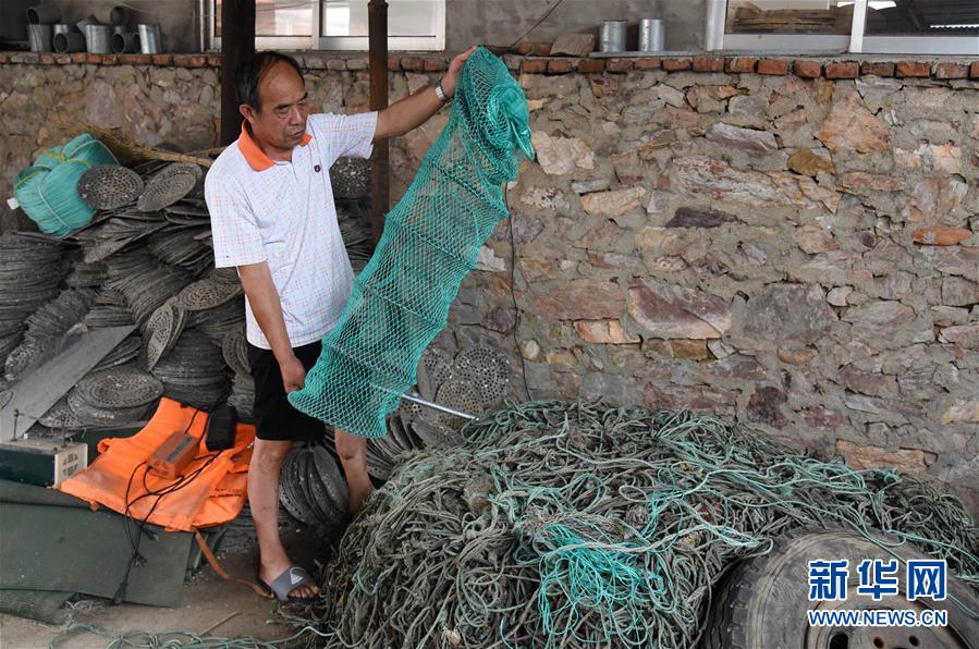 (新華全媒頭條·走向我們的小康生活·圖文互動)(2)幸福小康入畫來——齊魯大地描繪小康新畫卷