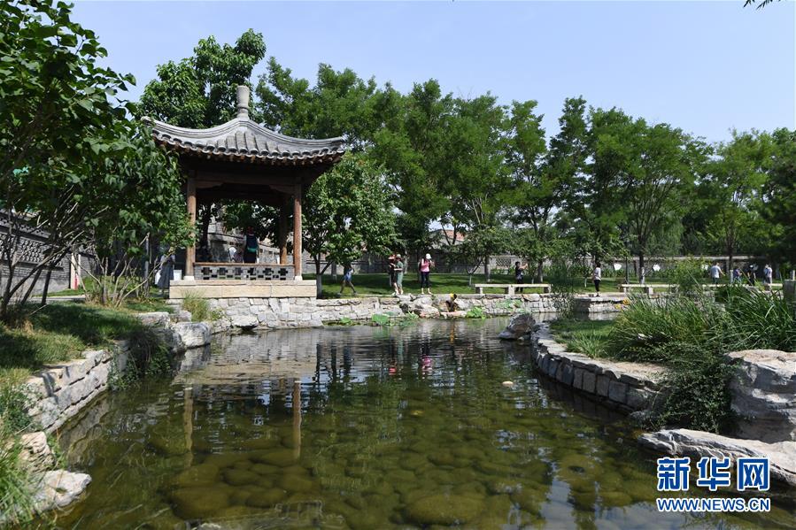 (走向我們的小康生活·圖文互動)(3)小橋、流水、書香、人家——老北京胡同里的恬靜棲居