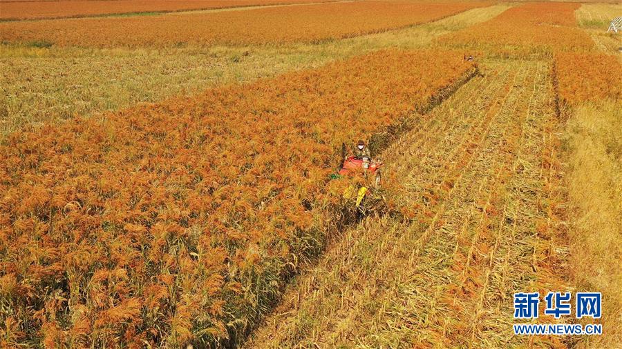 （決戰決勝脫貧攻堅&middot;圖文互動）（1）內蒙古巴林左旗：土笤帚&ldquo;掃&rdquo;出新生活