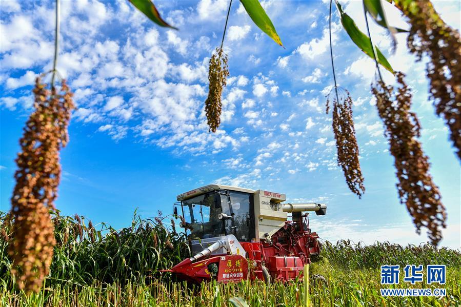 （新華全媒頭條&middot;圖文互動）（17）奮斗結碩果，再寫新篇章&mdash;&mdash;寫在共和國71周年華誕之際