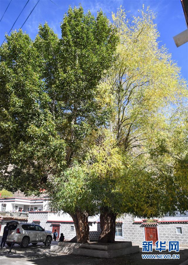 (圖文互動)(2)歷史遺跡的述說——西藏昌都源遠流長的民族團結故事