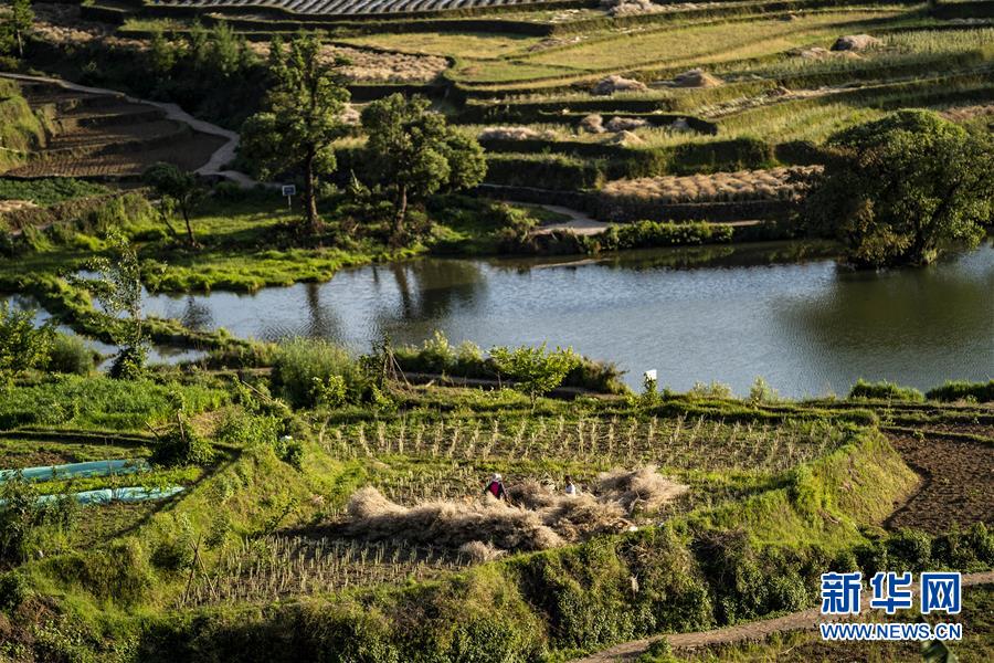 （集中連片特困地區(qū)貧困村調(diào)研行&middot;圖文互動）（4）阿佤人民再唱新歌&mdash;&mdash;云南騰沖市三家村中寨司莫拉佤族村脫貧調(diào)查