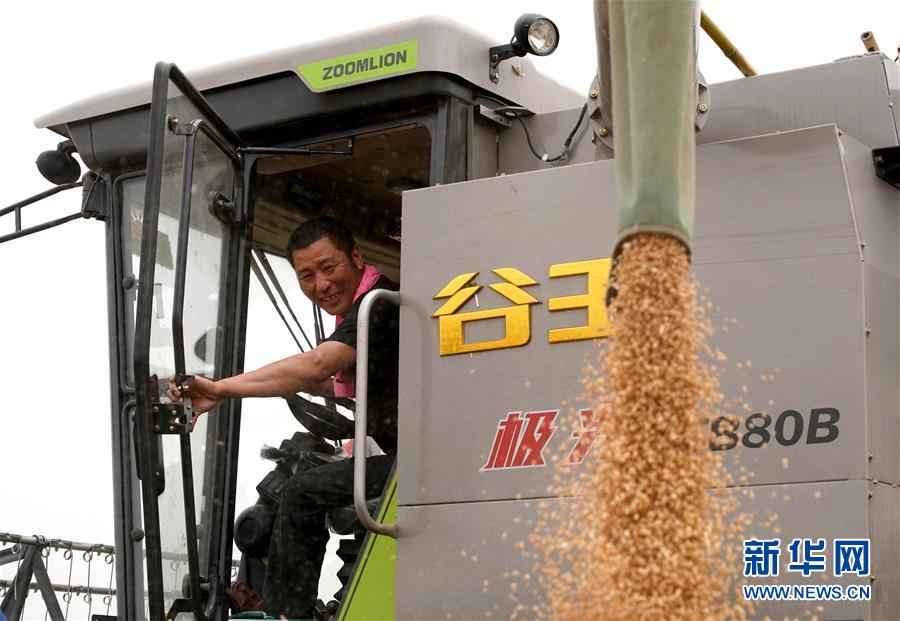 （在習(xí)近平新時(shí)代中國(guó)特色社會(huì)主義思想指引下&mdash;&mdash;新時(shí)代新作為新篇章&middot;習(xí)近平總書(shū)記關(guān)切事&middot;圖文互動(dòng)）（3）食為政首&mdash;&mdash;穩(wěn)住農(nóng)業(yè)基本盤(pán)增添發(fā)展底氣