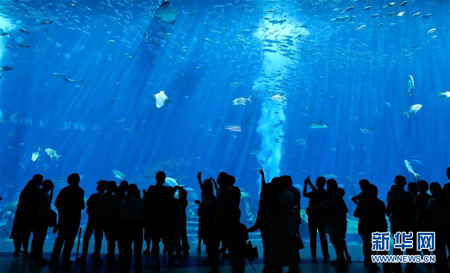 (在習近平新時代中國特色社會主義思想指引下——新時代新作為新篇章·習近平總書記關切事·圖文互動)(9)感受開放新魅力——海南自由貿易港建設開局觀察