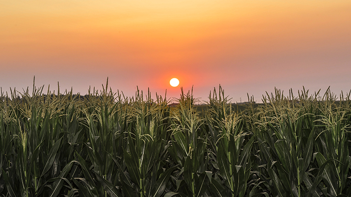 風卷紅旗過大關&mdash;&mdash;以習近平同志為核心的黨中央領航中國為實現第一個百年奮斗目標而奮勇拼搏紀實