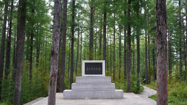 牢記使命 綠色發展&mdash;&mdash;塞罕壩精神述評