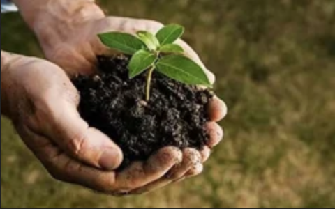 打造更好的“植物醫生”