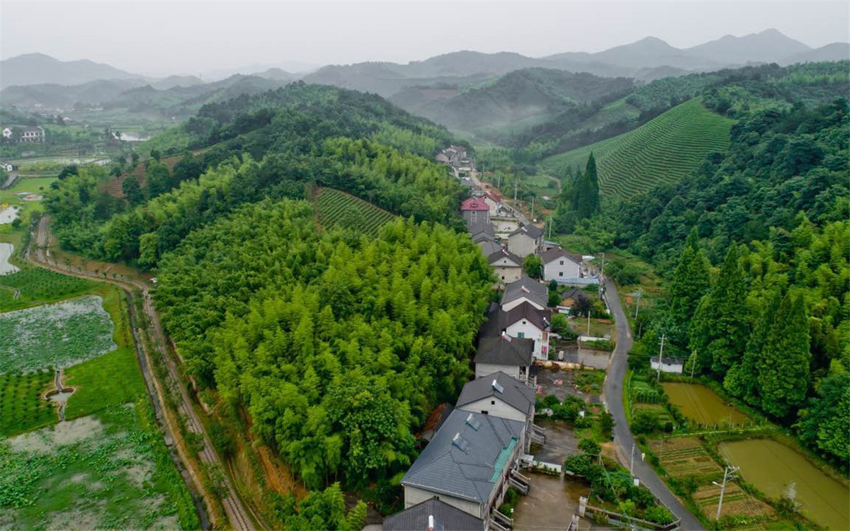 從2003年起，浙江省開展了&ldquo;千村示范、萬村整治&rdquo;工程