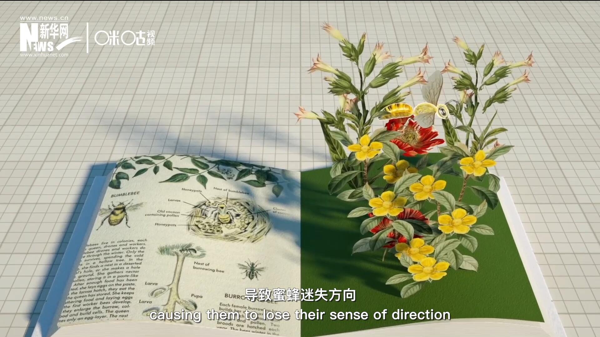 殺蟲劑會(huì)破壞蜜蜂的神經(jīng)系統(tǒng)，導(dǎo)致蜜蜂迷失方向，無法回到蜂房，還會(huì)降低蜜蜂的抵抗力