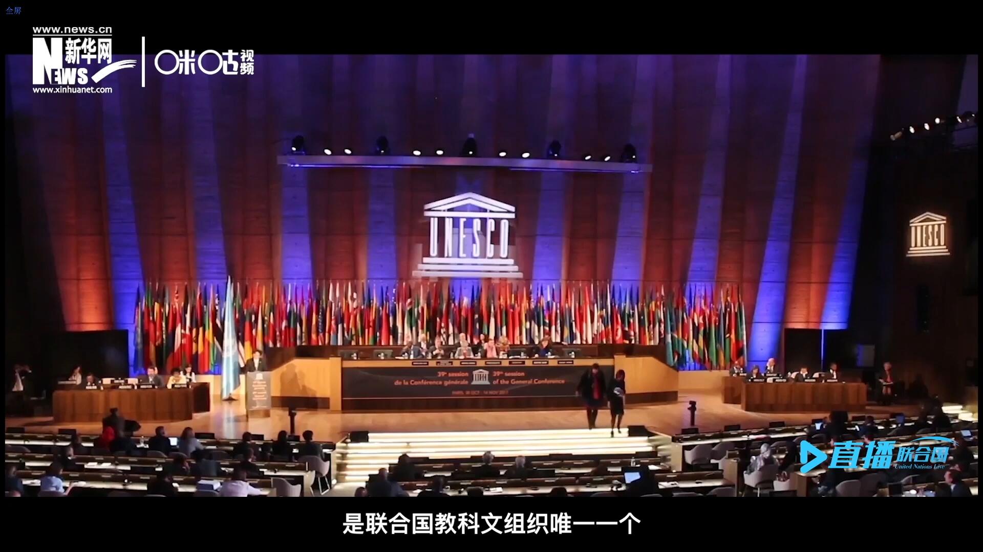 民間藝術(shù)國際組織成立于1979年，是聯(lián)合國教科文組織唯一一個以保護(hù)和挖掘國際民間藝術(shù)為工作中心的國際機(jī)構(gòu)。