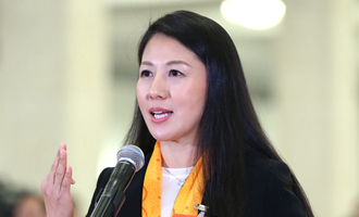 全國政協委員楊揚在&ldquo;委員通道&rdquo;接受采訪