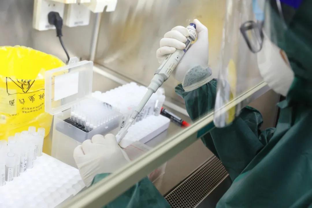 22人連軸轉 24小時&ldquo;搶&rdquo;出上萬份核酸報告