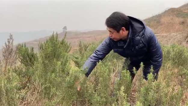 新春走基層｜脫貧后，駐村扶貧隊長在干啥？