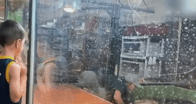 表演時被咬 美飼養員&ldquo;鱷口逃生&rdquo;