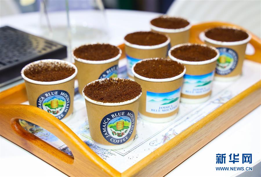 （新華全媒頭條&middot;圖文互動）（15）人間正道 浩蕩前行&mdash;&mdash;習(xí)近平主席出席首屆中國國際進口博覽會紀(jì)實