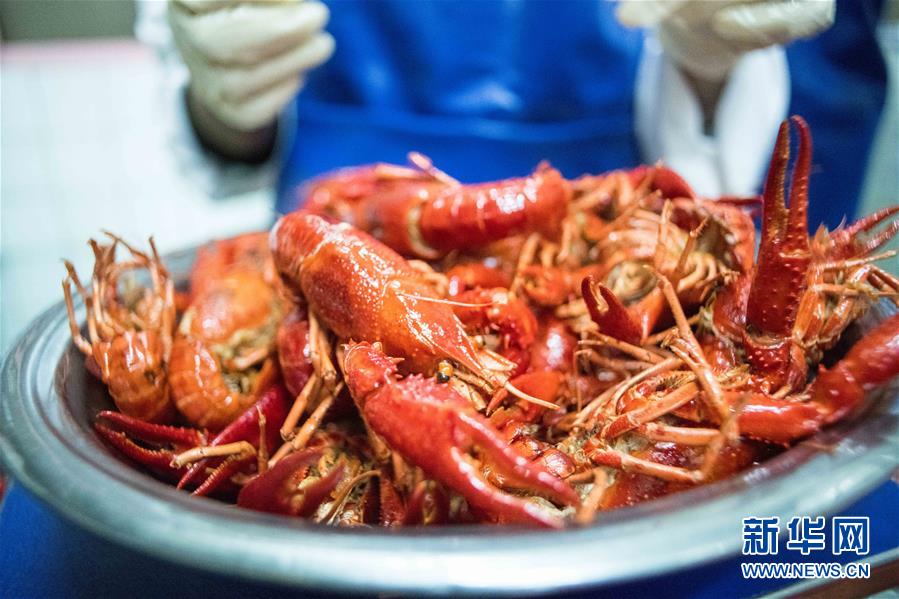 (國際·圖文互動(dòng))(1)從尼羅河畔到中國餐桌——一只“洋”小龍蝦的36小時(shí)旅程