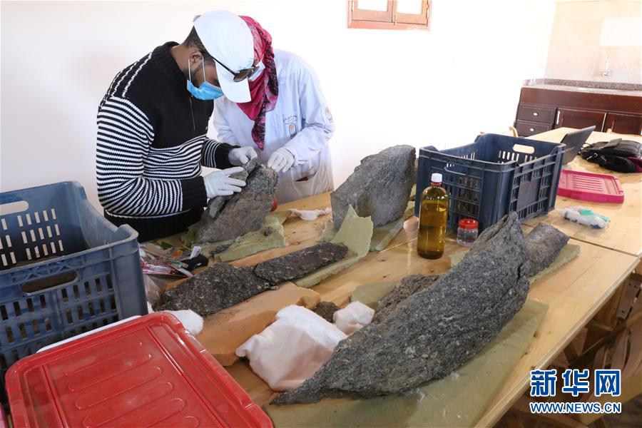 （國際&middot;圖文互動）（4）疫中考古&mdash;&mdash;中國與埃及首次聯合考古取得階段性成果